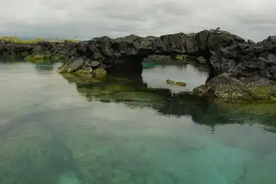 Image de Tour to volcan, swim with sharks - Marriat #6