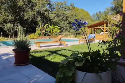 Image de Large Pool under oaks
