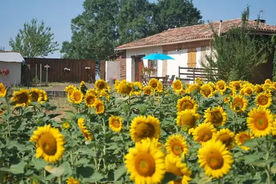 Image de Aux portes du Gers, gîte climatisé de la ferme d'Eden