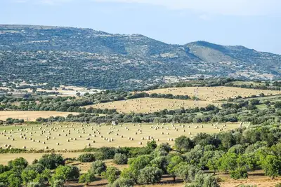 Image de Belle maison de 3 chambres à Raguse