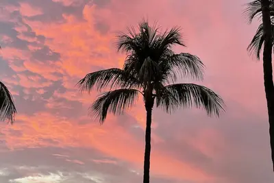 Image de Beautiful 1 bedroom apartment, king size bed, Summer Sea Condo