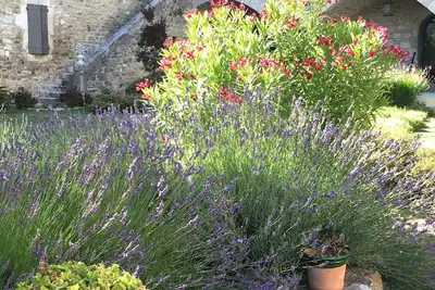 Image de Mas de Bres entier