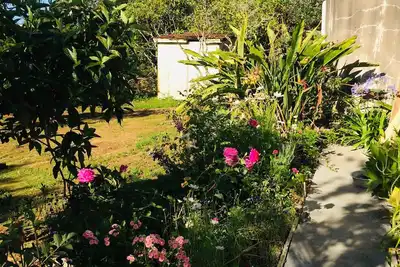 Image de Classic 1950s house