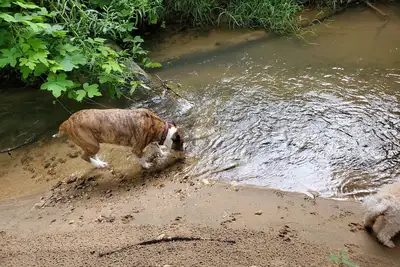 Image de Eagle's Nest by Table Rock. Perfect for Hickers, Cyclers, and Swimmers.