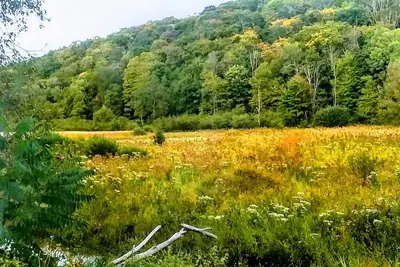 Image de ShineOn Valley- Back Bottom Camp