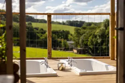 Image de Luxury Safari Lodge surrounded by deer! ! 'Fallow'