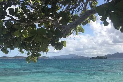 Image de SEAbbatical on Sapphire- Steps to the beach! Sleeps 5