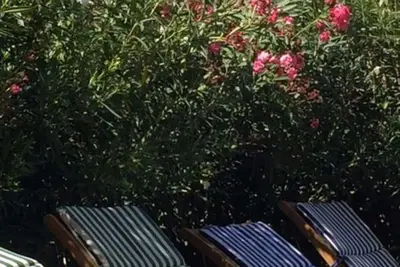 Image de Rez De Jardin A L'Hivernage