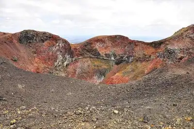Image de Tour to volcan, swim with sharks - Marriat #7