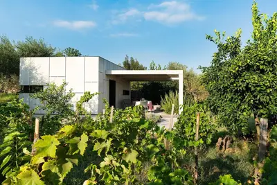 Image de Tiny-House au design contemporain