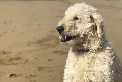 Image de Barwon Cottage