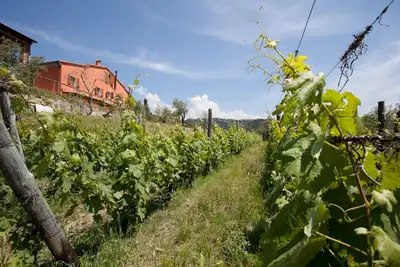 Image de Two-room apartment in farmhouse surrounded by greenery and a few kilometers from the sea