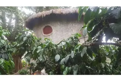 Image de Rustic Charm Wayanad - The Roots (Treetop Suite)