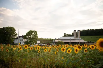 Image de Entire Farmhouse -Maple Bottom Farm Bed & Breakfast