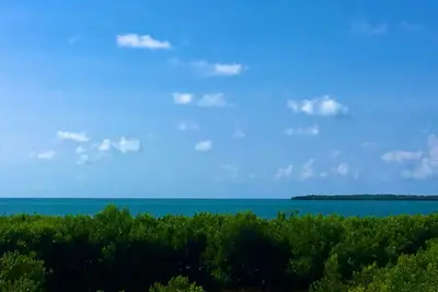 Image de Enjoy Sun and Fun