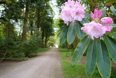 Image de Grooms Cottage - a cottage that sleeps 4 guests in 2 bedrooms