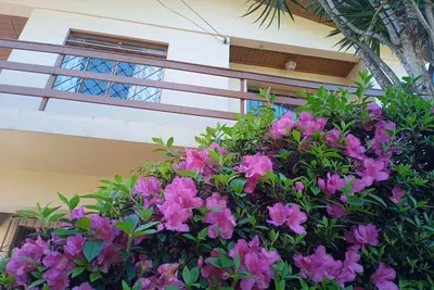 Image de Hospedaria das Azaleias