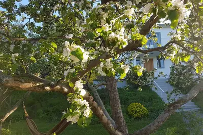 Image de Villa with private garden 10 min from central Stockholm, 300 m from the sea