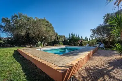 Image de Olive House