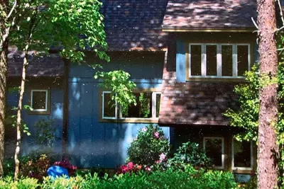 Image de A tranquil escape from the hustle and bustle.