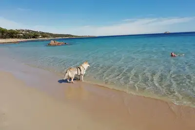 Image de Corsica Wonderful island