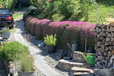Image de Maison de vacances Bellinzona pour 1 - 4 personnes avec 1 chambre à coucher - Maison de vacances ind