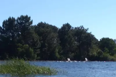 Image de Loue Mobil Home  Cosy 8 Places au bord du lac Biscarosse