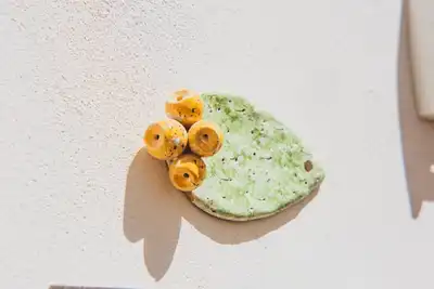 Image de Mirea'S Home