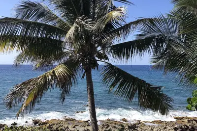 Image de Appartement sur la mer