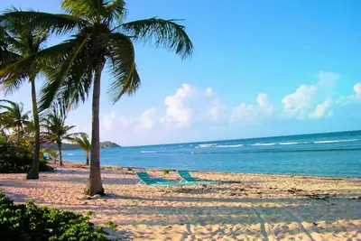 Image de Caribbean Paradise