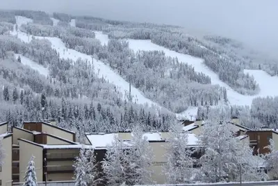 Image de Walk to both Villages & Lionshead Gondola