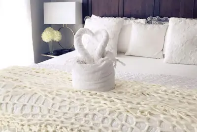 Image de ***Oasis***