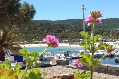 Image de Studio climatisé avec terrasse, piscine, proche plage et commerces à Bormes-les-Mimosas