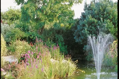 Image de Maison au milieu des fleurs et de la verdure