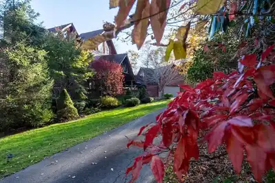 Image de ⛰ Luxurious Highlands Mountain home/studio apartment. Perfect for families & pet