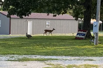 Image de Deer Run Retreat Great fishing cabin!