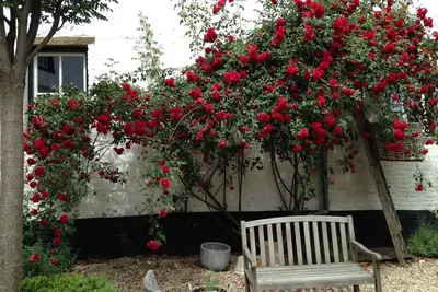 Image de Lovely house on the edge of Maastricht and Heuvelland