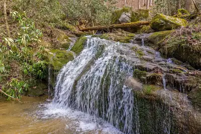 Image de Secluded Smoky Mountain Cabin with Private Waterfall, Creek, & Luxury Amenities!