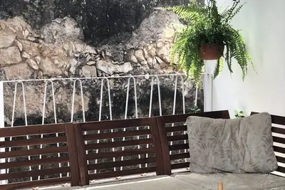 Image de Bright and relaxing, with cats!