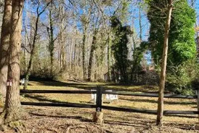 Image de 2 story rustic cabin in beautiful Clayton, Georgia!