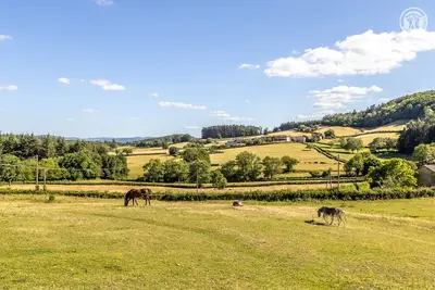 Image de Le Chêne Maréchal - Navour-Sur-Grosne
