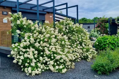 Image de Vacation home for 4 guests with 60m² in Goch (150080)