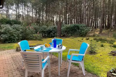Image de Petite maison mitoyenne avec jardin en bord de forêt - 342558