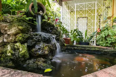 Cozy Garden Suite near Sovereign On The Boulevard, Red Hills