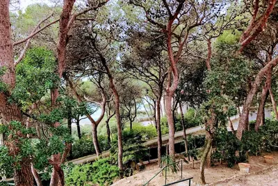 Image de Sea view apartment with garden in the villa