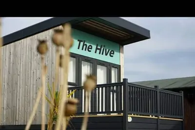 Image de The Hive A fun quirky studio