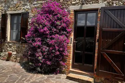 Image de Apartment for 2 - 4 persons