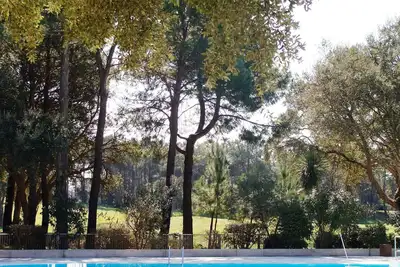 Image de Studio à Moliets plage, dans résidence de vacances de standing avec piscines
