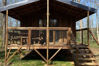 Image de 1 cabanes en bois en pleine nature dans la forĂŞt de Chanteloup