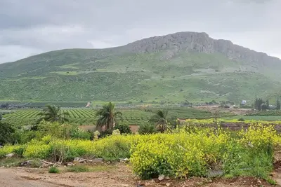 Image de Arbel House Apartment